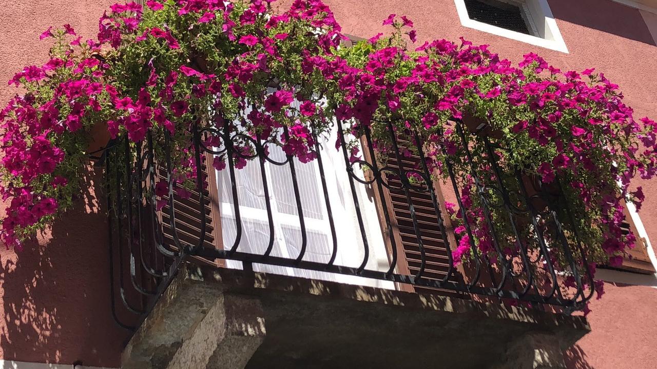 La Casa Del Colonnello Hotel แวร์เชลลี ภายนอก รูปภาพ